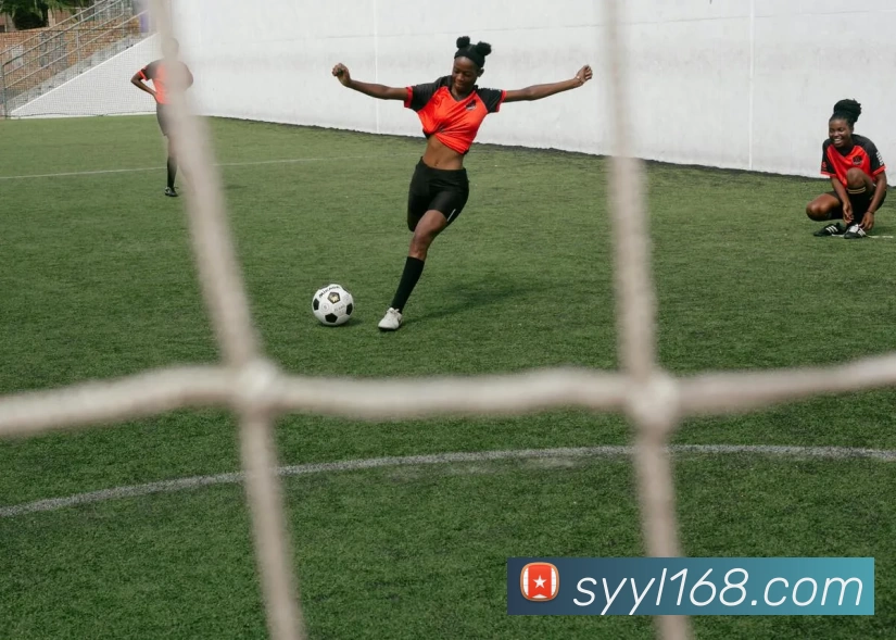 多媒体互动体验